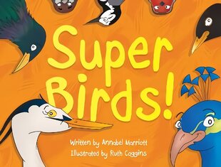 Super Birds! цена и информация | Книги для малышей | kaup24.ee