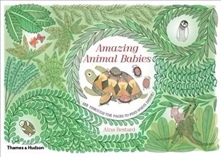 Amazing Animal Babies цена и информация | Книги для малышей | kaup24.ee