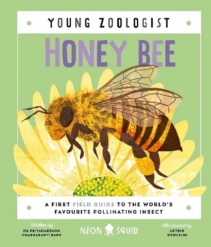 Honey Bee (Young Zoologist): A First Field Guide to the World's Favourite Pollinating Insect hind ja info | Noortekirjandus | kaup24.ee