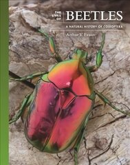 Lives of Beetles: A Natural History of Coleoptera цена и информация | Книги по экономике | kaup24.ee