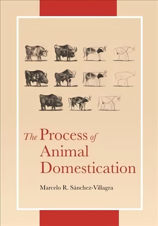 Process of Animal Domestication цена и информация | Majandusalased raamatud | kaup24.ee