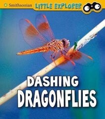Dashing Dragonflies hind ja info | Noortekirjandus | kaup24.ee