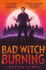 Bad Witch Burning цена и информация | Книги для подростков и молодежи | kaup24.ee