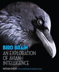 Bird Brain: An Exploration of Avian Intelligence цена и информация | Книги по экономике | kaup24.ee
