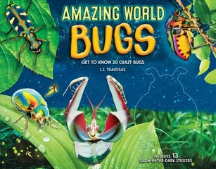 Amazing World: Bugs: Get to know 20 crazy bugs, Volume 1 hind ja info | Väikelaste raamatud | kaup24.ee