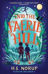 Into the Faerie Hill цена и информация | Книги для подростков и молодежи | kaup24.ee