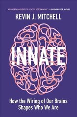 Innate: How the Wiring of Our Brains Shapes Who We Are цена и информация | Книги по экономике | kaup24.ee