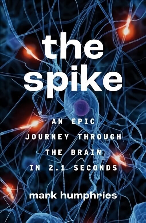 Spike: An Epic Journey Through the Brain in 2.1 Seconds цена и информация | Majandusalased raamatud | kaup24.ee