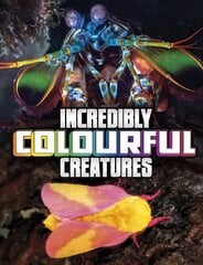 Incredibly Colourful Creatures hind ja info | Noortekirjandus | kaup24.ee