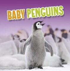 Baby Penguins hind ja info | Noortekirjandus | kaup24.ee