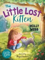 Little Lost Kitten hind ja info | Noortekirjandus | kaup24.ee