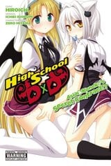 High School DxD: Asia & Koneko's Secret Contract!? цена и информация | Фантастика, фэнтези | kaup24.ee
