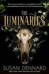 Luminaries цена и информация | Книги для подростков и молодежи | kaup24.ee