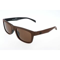 Мужские солнечные очки Adidas AOR005-044-009 ø 54 mm цена и информация | Солнцезащитные очки для мужчин | kaup24.ee