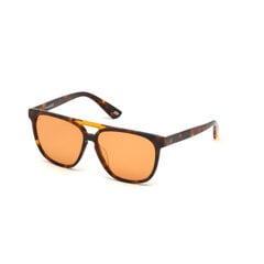 Meeste Päikeseprillid Web Eyewear WE0263-5956J ø 59 mm hind ja info | Meeste päikeseprillid | kaup24.ee