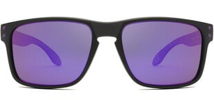 Солнцезащитные очки Label L1532D Polarized цена и информация | Солнцезащитные очки для мужчин | kaup24.ee