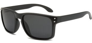 Meeste päikeseprillid Label L1532P Polarized hind ja info | Meeste päikeseprillid | kaup24.ee