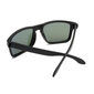 Meeste päikeseprillid Label L1532P Polarized hind ja info | Meeste päikeseprillid | kaup24.ee