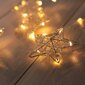 DecoKing valguskett Snowflakes, 38 LED hind ja info | Jõulutuled | kaup24.ee