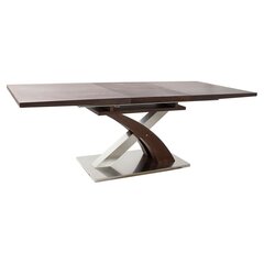 Обеденный стол DKD Home Decor, (160 x 90 x 77 cm) коричневый цена и информация | Кухонные и обеденные столы | kaup24.ee
