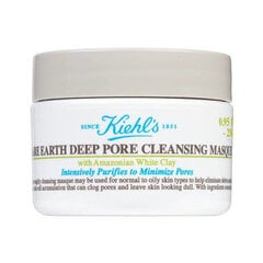 Очищающая маска для лица Kiehl'S Ladies Rare Earth Deep Pore Cleansing Masque, 125 мл цена и информация | Маски для лица, патчи для глаз | kaup24.ee