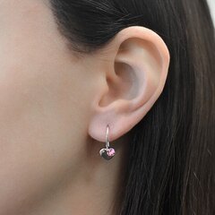Naiste kõrvarõngad Evolution Group цена и информация | Серьги | kaup24.ee
