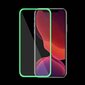 Fluo Glass kaitseklaas Iphone 12 Pro Max 6,7" roheline цена и информация | Ekraani kaitsekiled | kaup24.ee