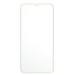 Fluo Glass kaitseklaas Iphone XR 6,1" roheline hind ja info | Ekraani kaitsekiled | kaup24.ee