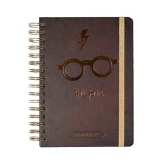 Harry Potter hind ja info | Fännitooted mänguritele | kaup24.ee