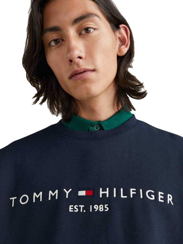 Meeste pusa Tommy Hilfiger - MW0MW11596 цена и информация | Meeste pusad | kaup24.ee