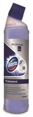 WC puhastusvahend Domestos, 750ml hind ja info | Puhastusvahendid | kaup24.ee