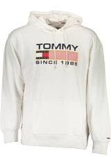 Meeste pusa Tommy Hilfiger - DM0DM15009 цена и информация | Мужские толстовки | kaup24.ee