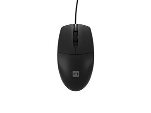 Natec Mouse Natec RUFF 2 Black hind ja info | Natec Arvutid ja IT- tehnika | kaup24.ee