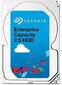 Seagate Enterprise Capacity 2.5" 1TB (ST1000NX0313) hind ja info | Sisemised kõvakettad (HDD, SSD, Hybrid) | kaup24.ee