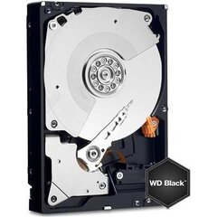 Western Digital Black, 3.5'', 1TB, SATA/600, 7200RPM, 64MB cache (WD1003FZEX) цена и информация | Внутренние жёсткие диски (HDD, SSD, Hybrid) | kaup24.ee