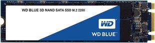 Western Digital Blue 250GB SATA3 (WDS250G2B0B) цена и информация | Внутренние жёсткие диски (HDD, SSD, Hybrid) | kaup24.ee