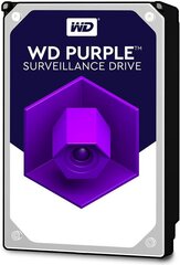 Western Digital Purple 8TB SATA III (WD81PURZ) цена и информация | Внутренние жёсткие диски (HDD, SSD, Hybrid) | kaup24.ee