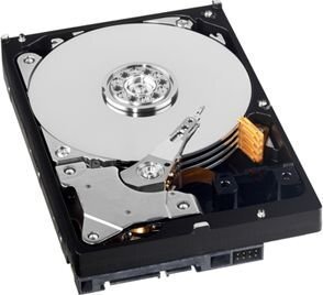 Western Digital WD AV-GP 3.5''500GB SATA/600, 64MB cache (WD5000AURX) hind ja info | Sisemised kõvakettad (HDD, SSD, Hybrid) | kaup24.ee