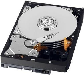 Western Digital WD AV-GP 3.5''500GB SATA/600, 64MB cache (WD5000AURX) hind ja info | Sisemised kõvakettad (HDD, SSD, Hybrid) | kaup24.ee