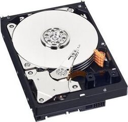 Western Digital WD Blue 500GB (WD5000AZRZ) цена и информация | Внутренние жёсткие диски (HDD, SSD, Hybrid) | kaup24.ee