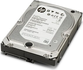 HP 4TB SATA III (K4T76AA) цена и информация | Внутренние жёсткие диски (HDD, SSD, Hybrid) | kaup24.ee
