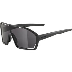Alpina BONFIRE Running glasses Full rim Black цена и информация | Спортивные очки | kaup24.ee