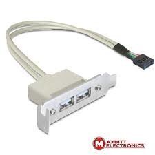 Delock 83119, USB-A/USB 9-pin, 50 см цена и информация | Кабели и провода | kaup24.ee