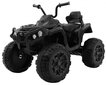 Quad ATV Quad ATV, must hind ja info | Laste elektriautod | kaup24.ee