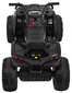 Quad ATV Quad ATV, must hind ja info | Laste elektriautod | kaup24.ee
