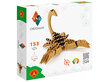 Alexander 3D origami loominguline komplekt, skorpion цена и информация | Arendavad mänguasjad | kaup24.ee