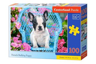 Castorland Bulldogi kutsika pusle, 100 tükki цена и информация | Пазлы | kaup24.ee