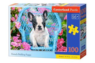 Пазл Castorland Bulldog Puppy, 100 д. цена и информация | Пазлы | kaup24.ee