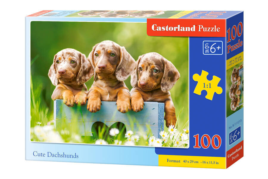 Castorland Cute Dachshundid Puzzle, 100 tükki hind ja info | Pusled | kaup24.ee