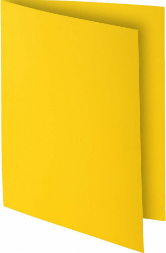 Exacompta Subfolder Exacompta Rock's Yellow A4 (100 Units) hind ja info | Kirjatarbed | kaup24.ee